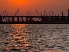 -宝安西湾红树林湿地公园