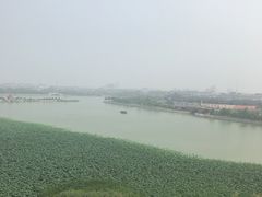 -中国翰园碑林