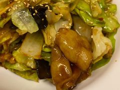-拉面莊夢語＆中华料理八椿