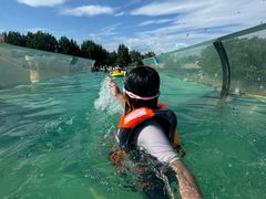 -秦皇岛乐岛海洋王国