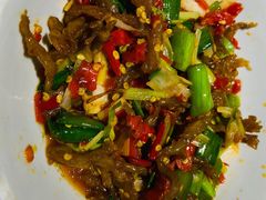 鸭掌筋-壹盏灯(惠农店)