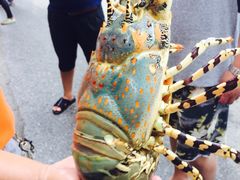 -拉威海鲜市场