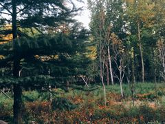 -山东艺术学院(长清校区)