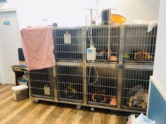 -喜洋洋宠物医院(震川路总店)