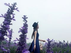 -紫颐香薰山谷景区