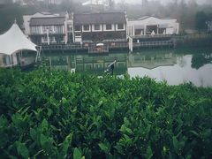 -帐篷客·溪龙茶谷度假酒店