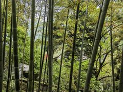 -莫干山风景区