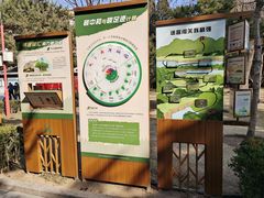 -团结湖公园