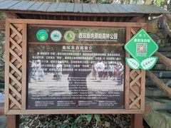 -西双版纳原始森林公园