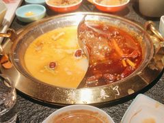 -熊喵来了火锅·牧场好肉(邯郸邯山万达店)