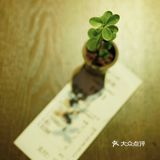 丹叔厨房新店开业大吉[礼花]还有隐藏菜单哦[调皮]