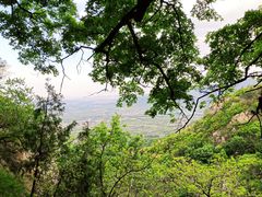 -北京鹫峰国家森林公园