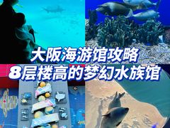 -大阪海游馆
