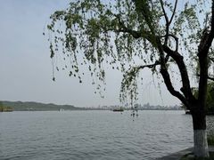 -浙江西子宾馆·牡丹厅