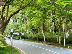 -新洲生态园