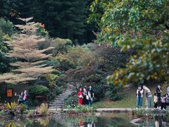 -深圳仙湖植物园