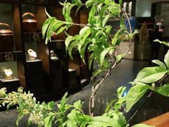 -南堂館川菜文化餐厅(天府店)