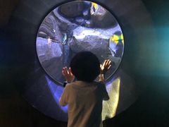 -成都浩海立方海洋公园