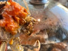 -半岛听涛蒸汽海鲜自助(K11店)