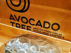 -油梨树AVOCADO TREE(嘉里中心店)