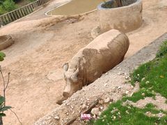 -泉州海丝野生动物世界