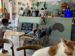 -平行世界·猫咖(首经贸店)