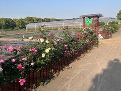 -上膳源有机农场