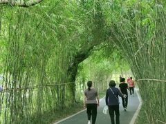 -四海公园(南山区)