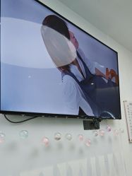 -YESIDO椰岛造型