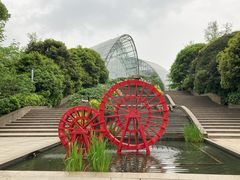 -南山植物园