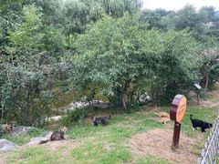 -北京西山国家森林公园