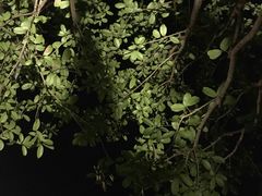 -三江森林温泉度假区