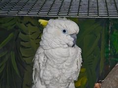 -杭州野生动物世界