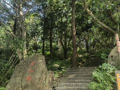 -深圳仙湖植物园