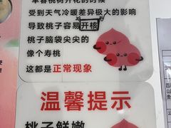 -老袁家蜜桃农场·阳山水蜜桃