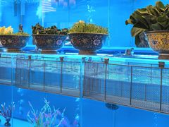 -怡咖啡·自助餐·西安香格里拉