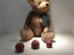 -成都泰迪熊博物馆