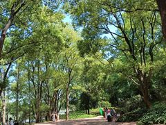 -东湖落雁景区