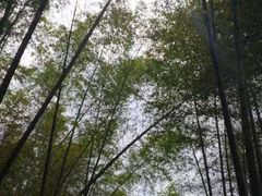 -千泷沟大瀑布旅游区