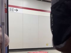 -东方体育中心(地铁站)