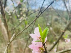 -贵阳市花溪国家城市湿地公园