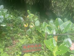 -海口火山口国家地质公园