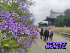 -慈山寺