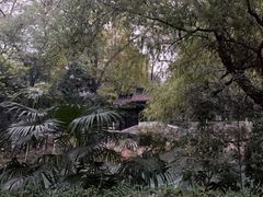 -红梅公园