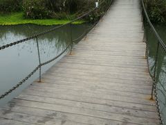 -桤木河湿地公园