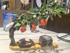 大唐妃子笑-唐猫庭院·千年陕菜(大唐不夜城店)