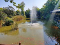 -武汉紫薇都市田园