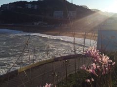 -枸杞岛