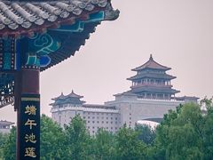 -莲花池公园