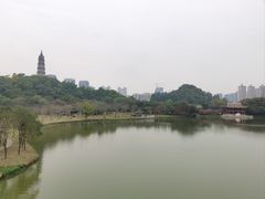 -顺峰山公园